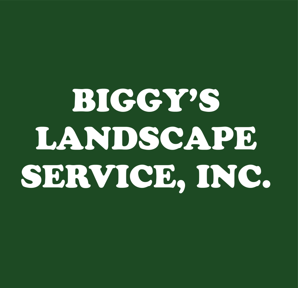 Biggy's Lanscape Service